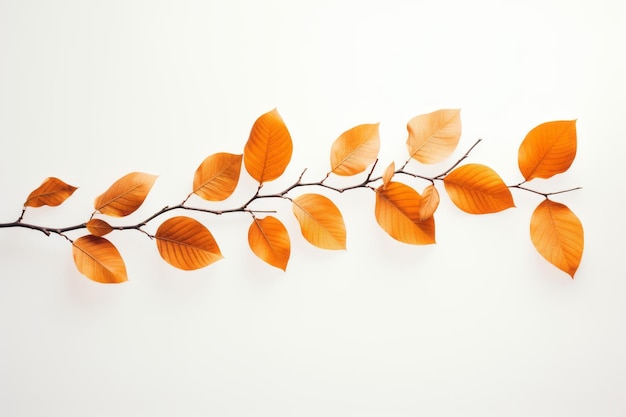La impresionante exhibición de hojas de otoño revela el arte de la naturaleza