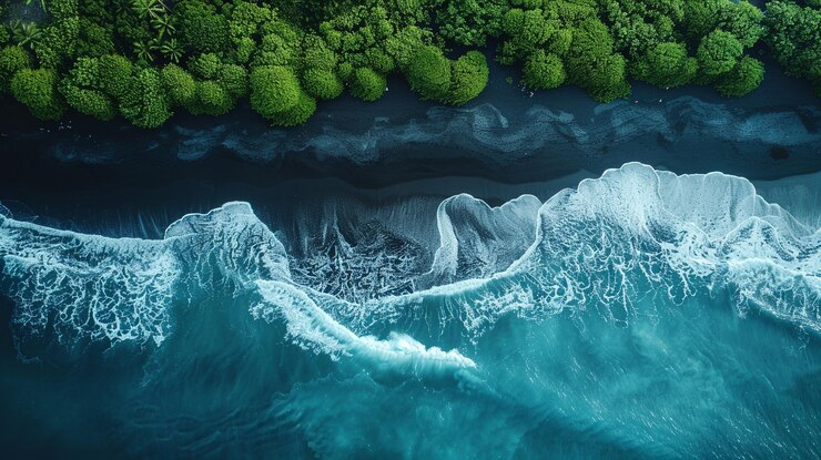 Impresionante fotografía aérea de la costa de la playa negra