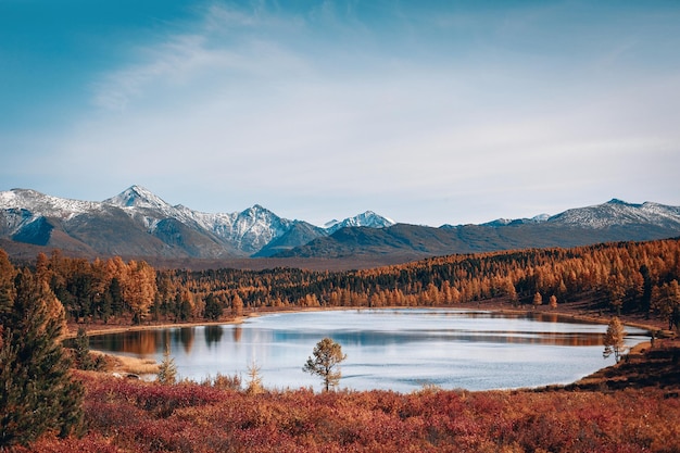 Impresionante paisaje de un lago profundo y ancho en medio de un denso bosque. Foto de estilo antiguo. Foto de color cálido