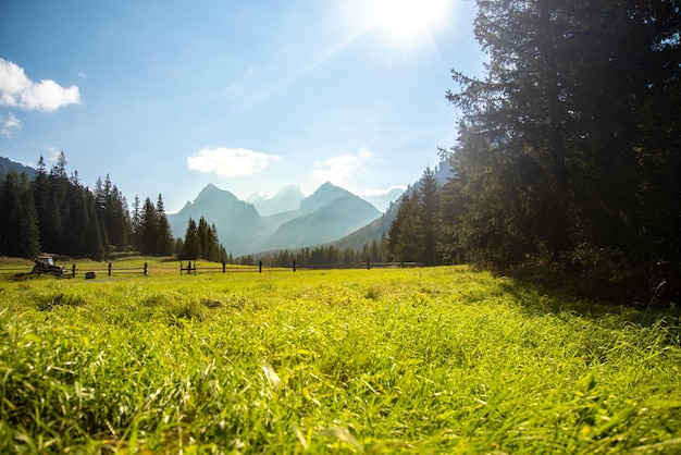 Impresionante paisaje montañoso de Eslovaquia. Valle de Bielovodska en los Altos tatras.