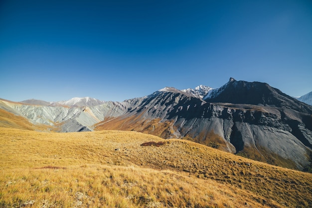 Impresionante paisaje otoñal con grandes montañas cubiertas de nieve y escarpadas rocas. Espectacular vista colorida a la cresta de la montaña y al valle amarillo en otoño. Maravilloso paisaje de montaña en colores otoñales naranjas.