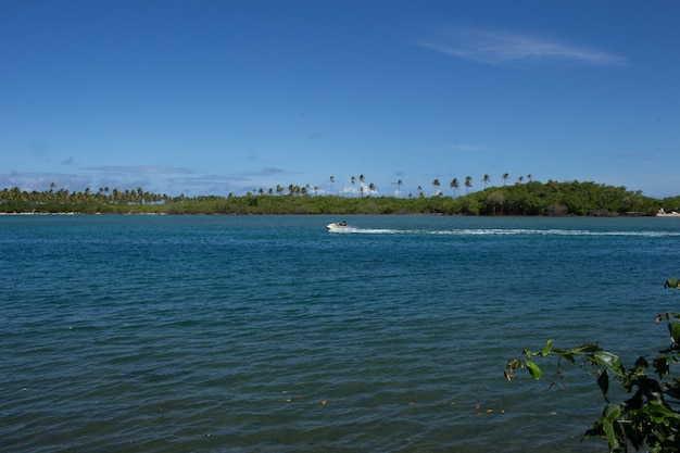 Impresionante paisaje de la playa llena de cocoteros y una moto de agua en un día soleado