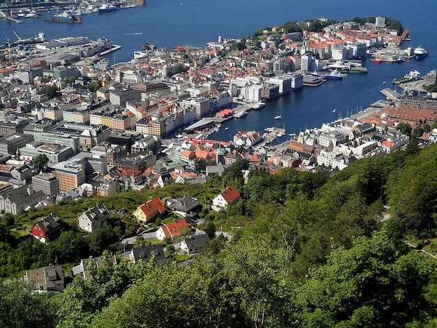 Impresionante paisaje del puerto de Bergen y la zona residencial de la ladera, Noruega