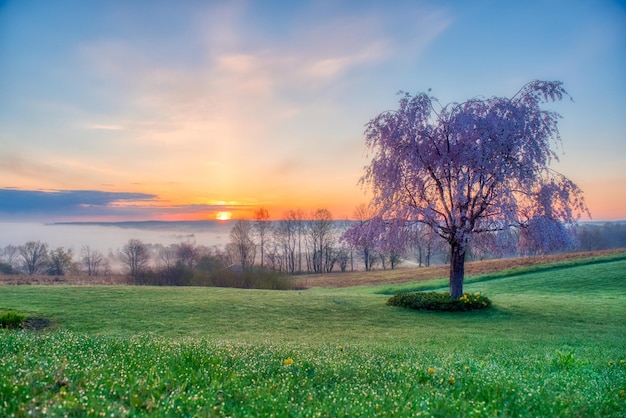 Impresionante paisaje de puesta de sol sobre un campo de hierba en Venango, Pensilvania