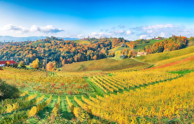 Impresionante paisaje de viñedos en el sur de Estiria cerca de Gamlitz