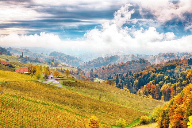 Impresionante paisaje de viñedos en el sur de Estiria cerca de Gamlitz