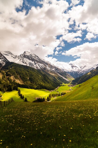 Foto impresionante prado en los alpes