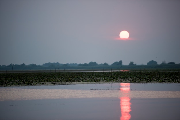 Impresionante puesta de sol en el delta del Danubio, Rumania, en un día de verano