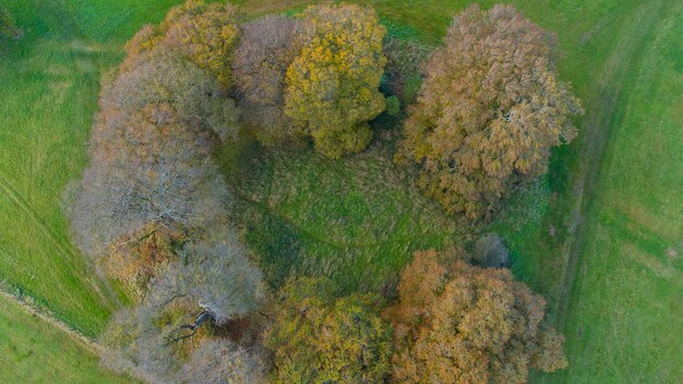 Impresionante toma aérea sobre exuberantes campos verdes y prados en la región central de Irlanda