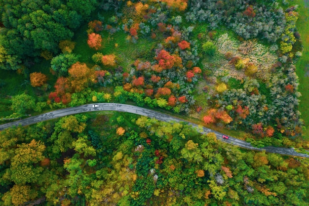 Impresionante vista aérea de carretera con coches entre bosque colorido del otoño