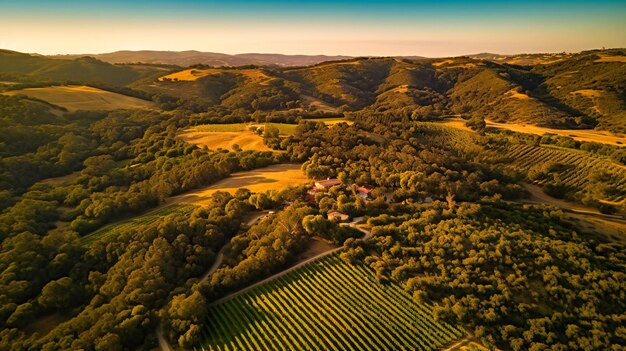 Una impresionante vista aérea de exuberantes viñedos y colinas que emanan tranquilidad y belleza natural