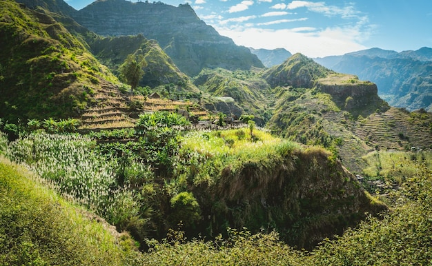 Impresionante vista de altas montañas cubiertas de exuberante vegetación verde Pintoresco plátano y