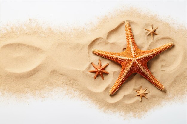 Foto impresionante vista de arriba estrella de mar con polvo de arena sobre un fondo blanco que ofrece espacio para copiar