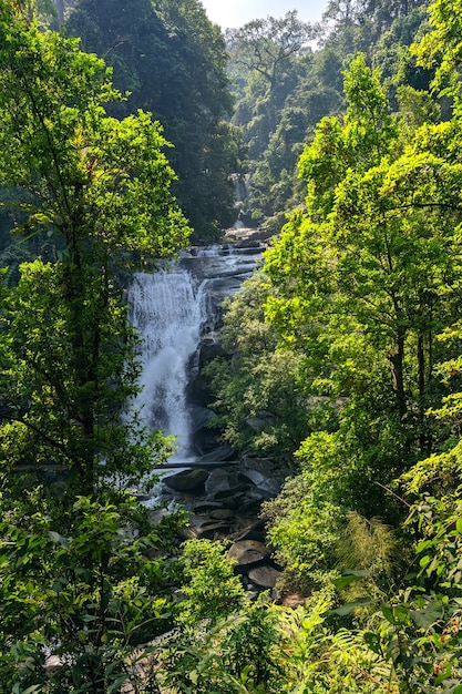 Impresionante vista de una cascada con bosque verde alrededor en Tailandia