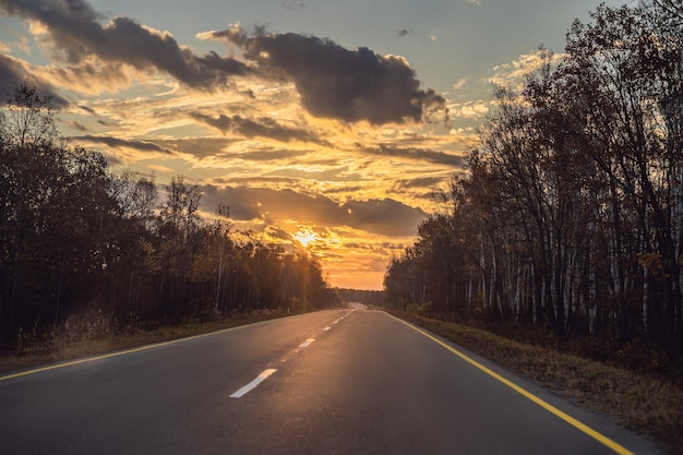 Impresionante vista con colorido bosque otoñal con carretera asfaltada de montaña. Hermoso paisaje con camino vacío, árboles y luz solar en otoño. Fondo de viaje. Naturaleza