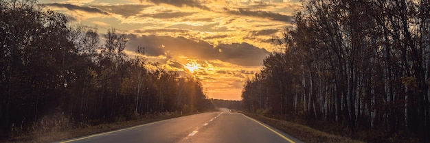 Foto impresionante vista con colorido bosque otoñal con carretera asfaltada de montaña hermoso paisaje con vacío