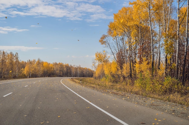 Impresionante vista con colorido bosque de otoño con carretera asfaltada de montaña Hermoso paisaje con árboles de carretera vacíos y luz solar en otoño Fondo de viaje Naturaleza