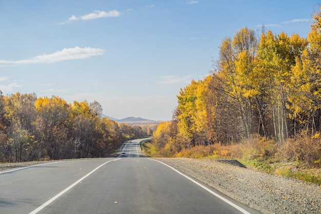 Impresionante vista con colorido bosque de otoño con carretera asfaltada de montaña Hermoso paisaje con árboles de carretera vacíos y luz solar en otoño Fondo de viaje Naturaleza