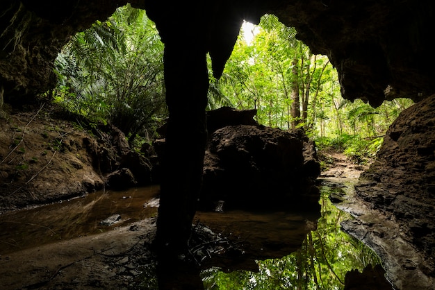 Impresionante vista de la cueva de piedra caliza iluminada por luz natural exterior exuberante vegetación tropical