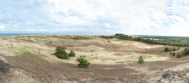Impresionante vista de las dunas de arena gris en el Curonian Spit