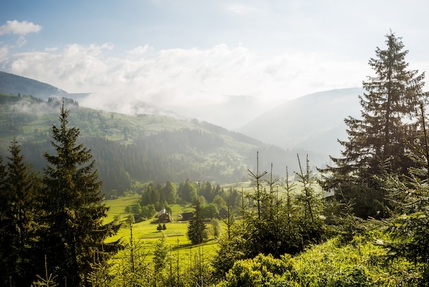 Impresionante vista hermosa de los árboles que crecen en colinas y montañas verdes sobre un fondo de nubes blancas y cielo azul en un cálido día soleado de verano