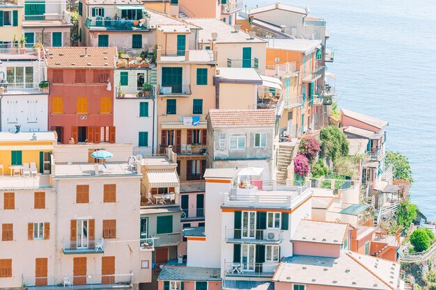 Impresionante vista del hermoso pueblo de Manarola en la Reserva de las Cinco Tierras