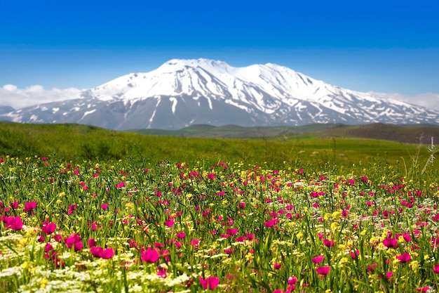 Impresionante vista del Monte Ararat Monte Ararat, la montaña más alta de Turquía