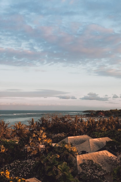 Impresionante vista del Océano Índico el cielo azul y palmeras tropicales en la isla de Bali Vertical