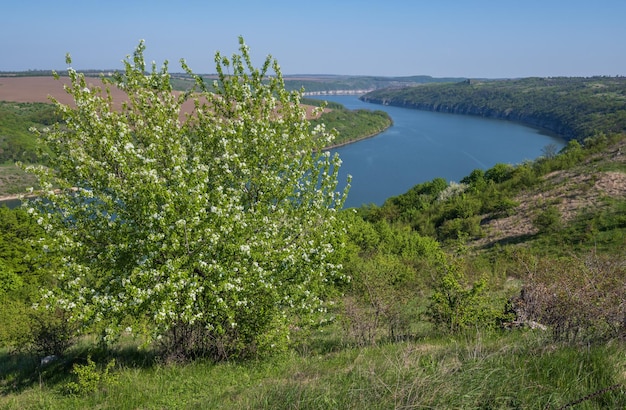 Impresionante vista de primavera en el cañón del río Dnister con pintorescos campos de rocas flores Este lugar llamado Shyshkovi Gorby Nahoriany Chernivtsi región Ucrania