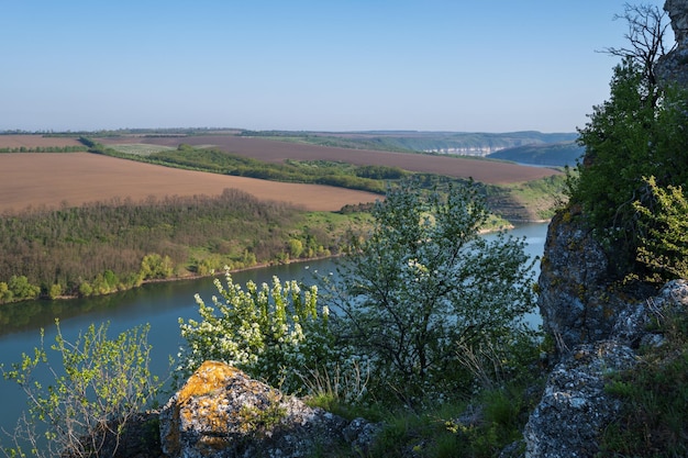 Impresionante vista de primavera en el cañón del río Dnister con pintorescos campos de rocas flores Este lugar llamado Shyshkovi Gorby Nahoriany Chernivtsi región Ucrania