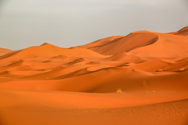 Impresionantes dunas de arena de Merzouga