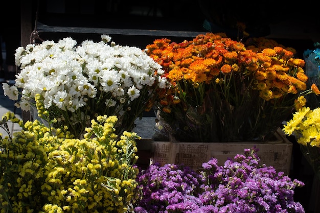 Impresionantes flores de primavera coloridas a la vista