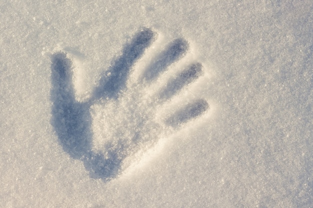 Impressão da mão em branco com um tom azul de neve com um dia ensolarado de inverno