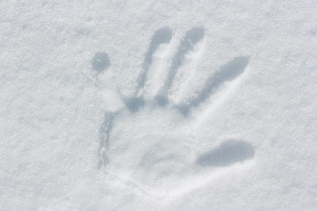 Impressão de mão humana na neve