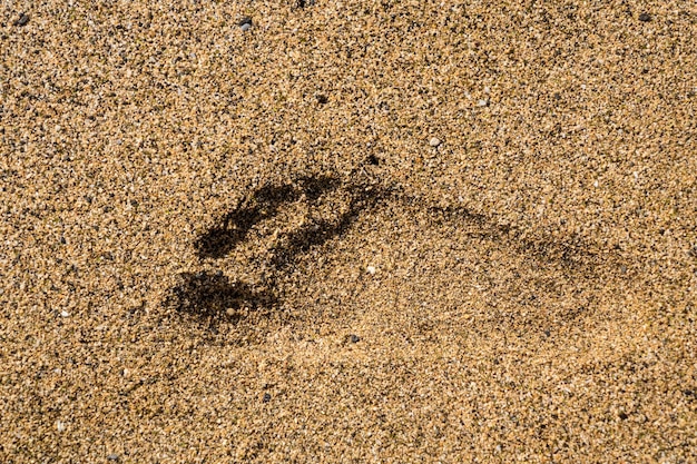 Impressão do pé direito único na areia