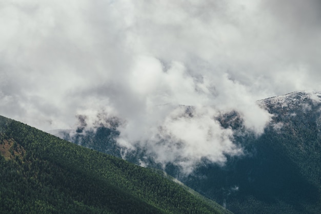 Impressionante vista alpina para a grande montanha da floresta com o topo coberto de neve em nuvens baixas e cinzentas em tempo nublado. Paisagem atmosférica com bela cordilheira com neve no topo da floresta em nuvens de chuva.