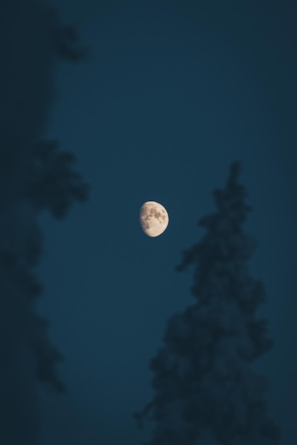 Impressões de ruka kuusamo finlandês