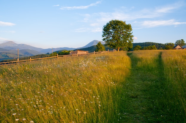 in den Bergen unset