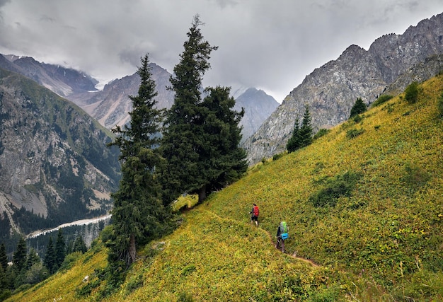 In den Bergen wandern