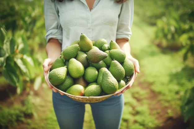 In den Händen eines Bauern hüllt sich eine frisch geernte Avocado, die in ihrem lebendigen grünen Farbton die Gesundheit und Nährstoffe des Herbstes verkörpert.