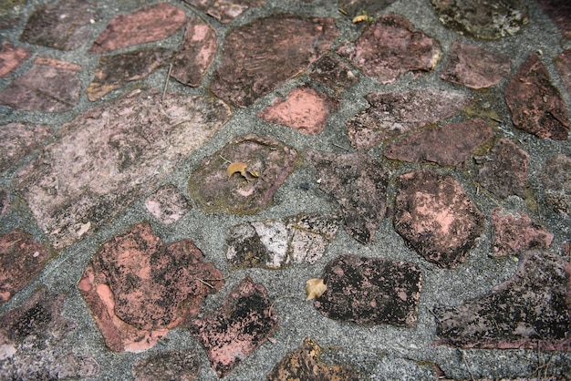 In den Ruinen wurden Steine ​​und Steine ​​entdeckt. Historische Beweise.