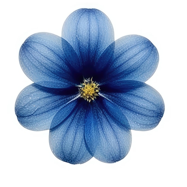 Foto in der mitte ist eine blaue blume mit gelber mitte abgebildet.