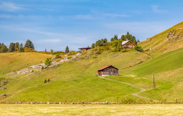 In der Umgebung von Warth in Österreich