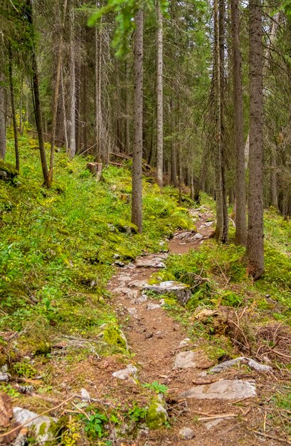 In der Umgebung von Warth in Österreich