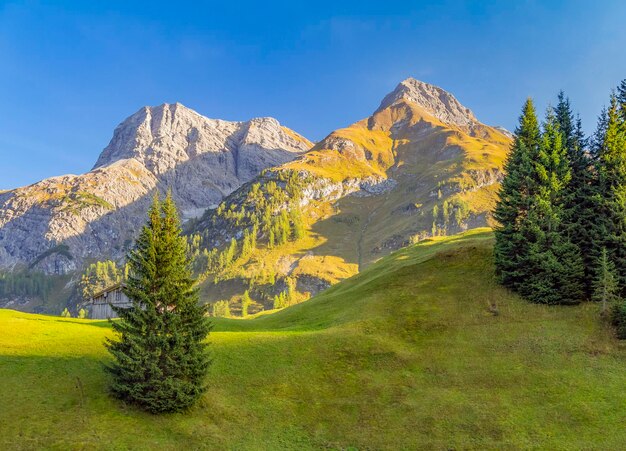 In der Umgebung von Warth in Österreich