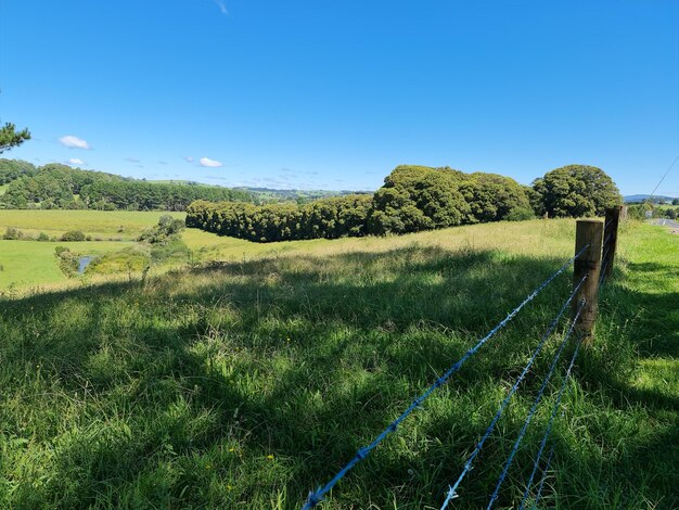 Foto in dorrigo