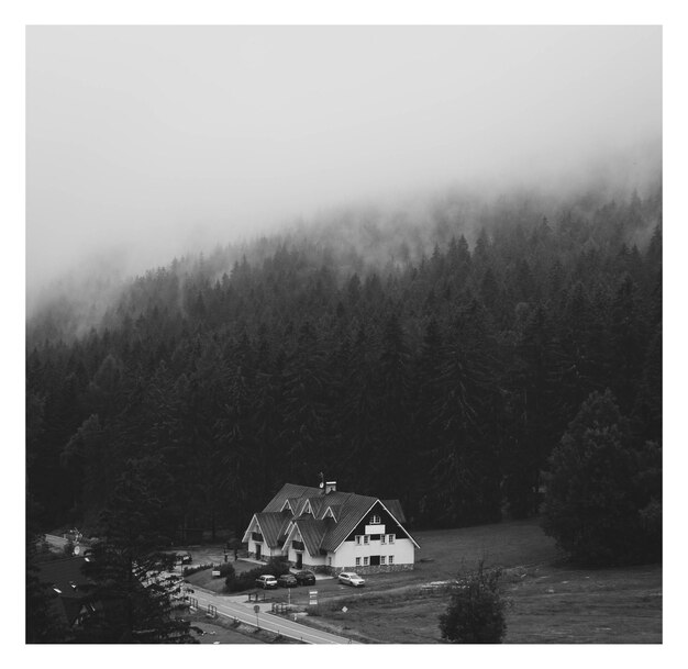 in einer Hütte im Wald mit Nebel