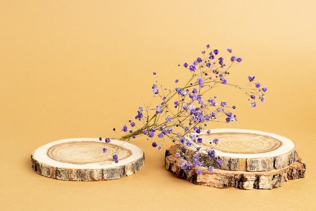 In Form eines Podiums gefaltete Holzscheiben und ein Gypsophila-Zweig auf beigem Hintergrund für die Präsentation des Produkts Kopierraum