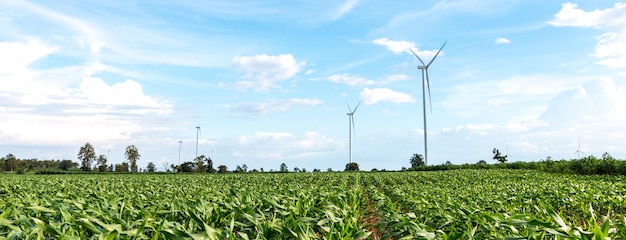 In landwirtschaftlichen Gebieten gibt es große Windkraftanlagen