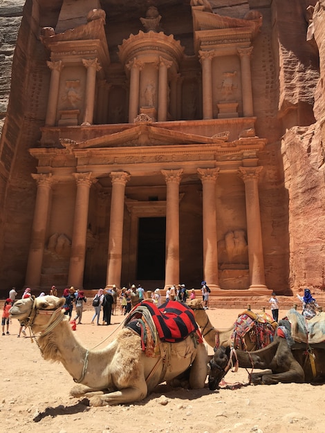 In Petra